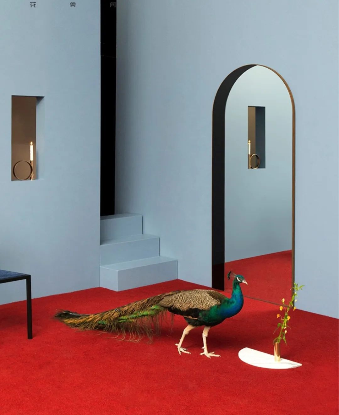 Напольное зеркало Door Mirror