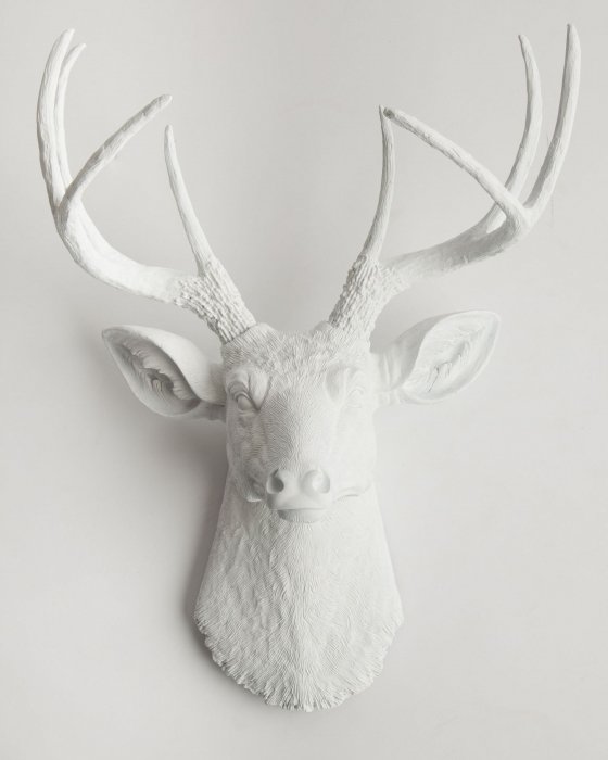 Голова оленя - Белая