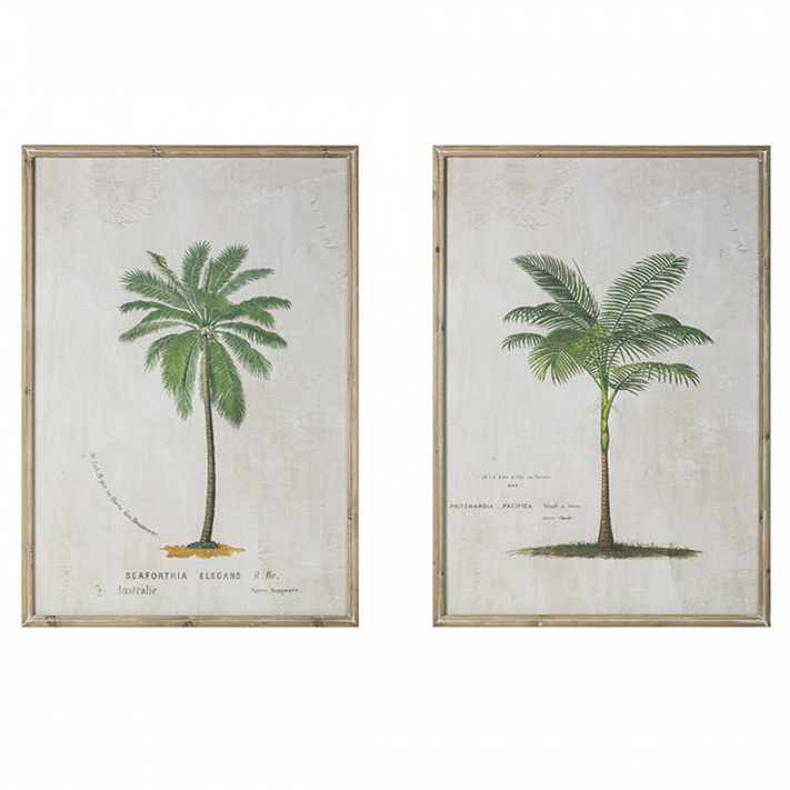 Большой Постер Зеленая Пальма