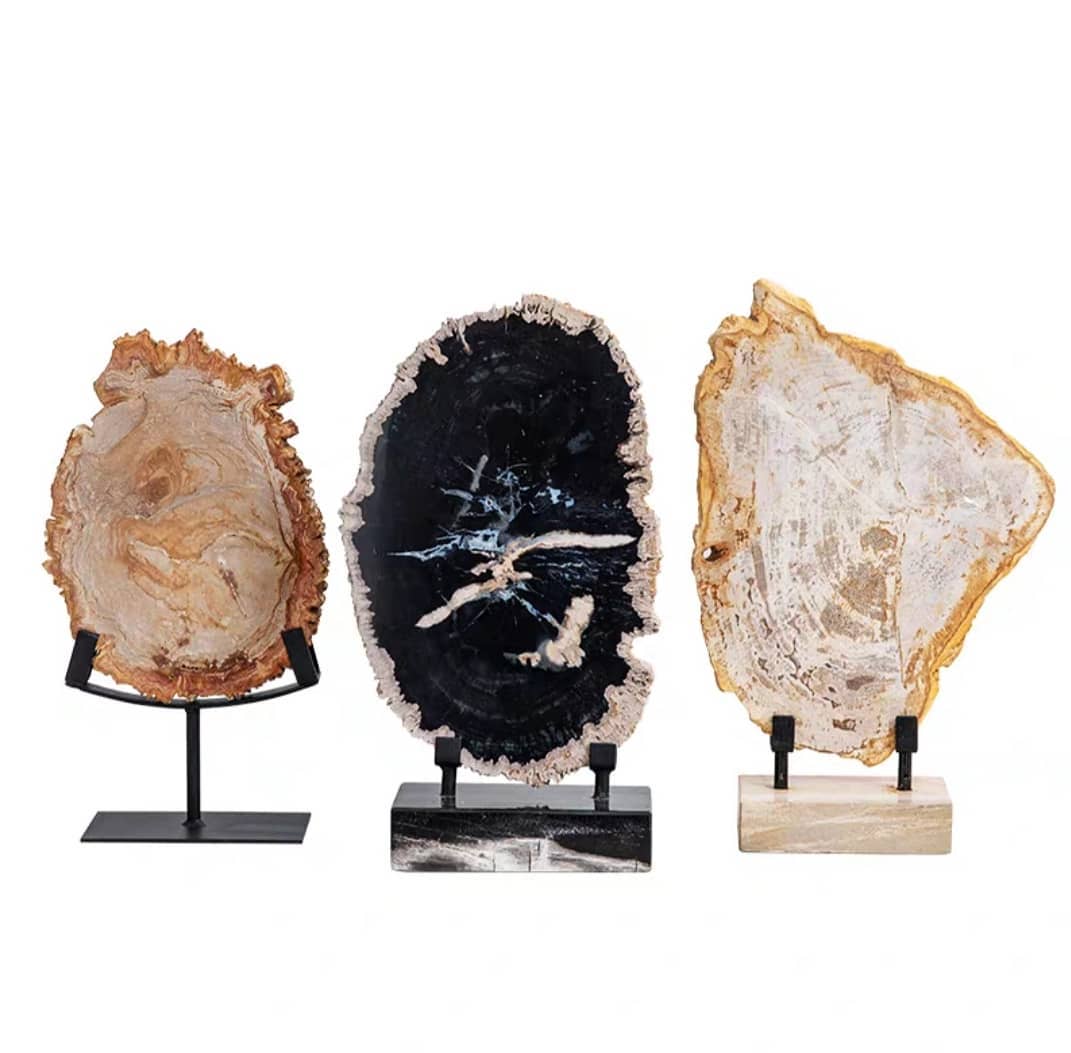 Статуэтка Окаменелое дерево спилы на мраморной подставке