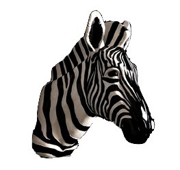 Декоративная голова зебры Zebra