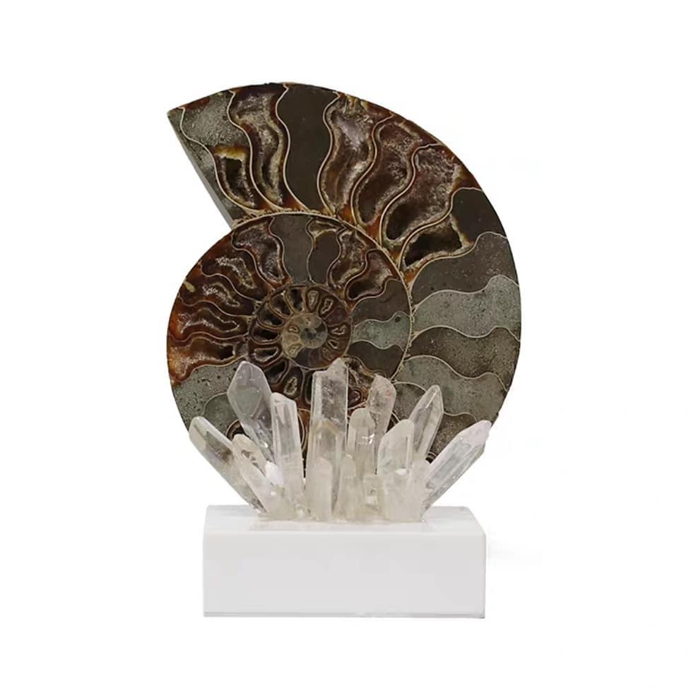 Статуэтка Раковина аммонита (перламутровая) в соцветии горного хрусталя на подставке