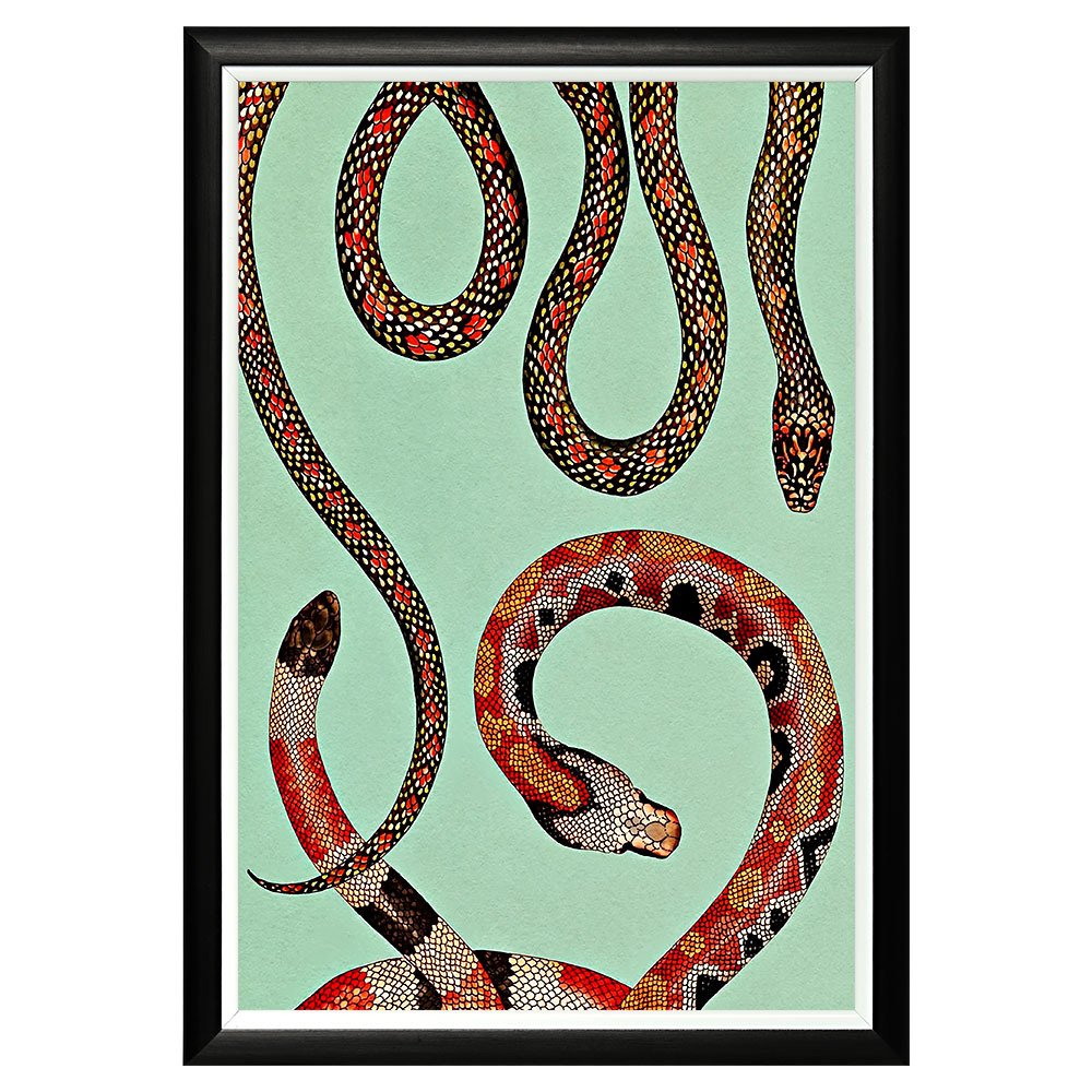 Постер Red Snakes