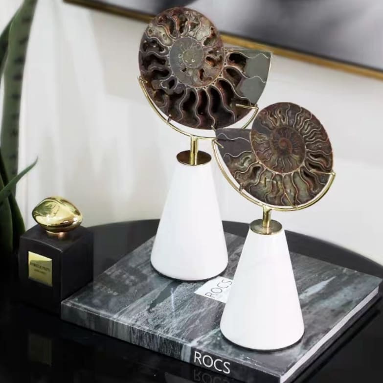 Статуэтка Аммонит на подставке из мрамора