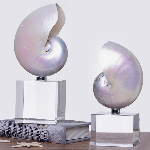 Аксессуар ракушка на Наутилус перламутр на подставке