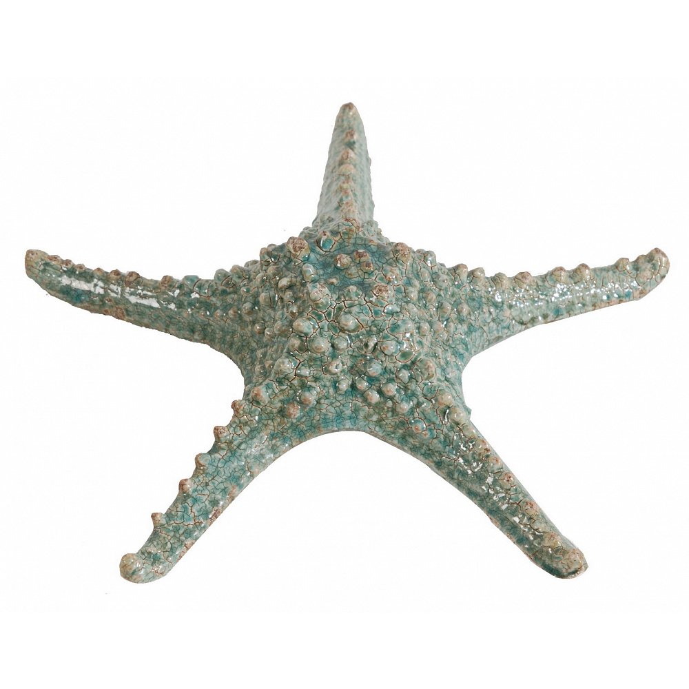 Аксессуар Starfish