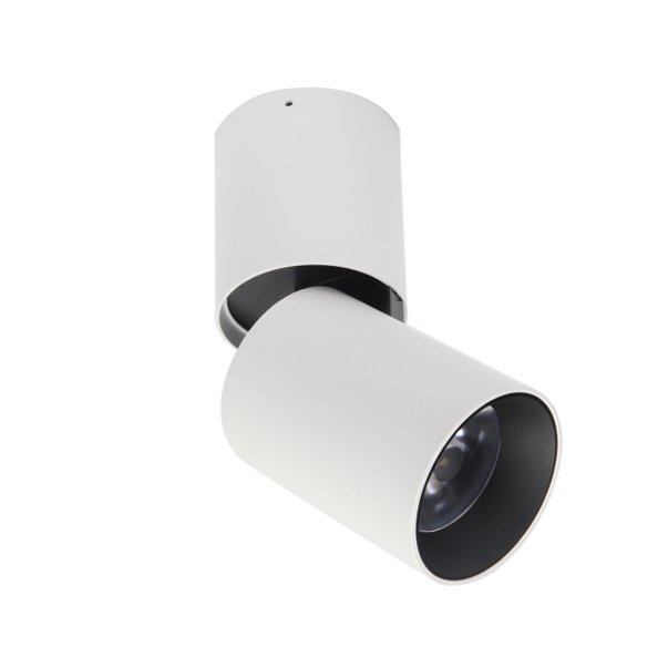 Спот Conecticus 1