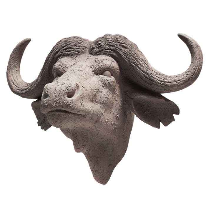 Голова буйвола