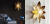 LOTUS Wall Lamp III Бра форме листьев лотоса LOTUS Wall Lamp III Бра форме листьев лотоса