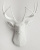 Голова оленя - Белая