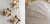 LOTUS Wall Lamp Бра форме листьев лотоса LOTUS Wall Lamp Бра форме листьев лотоса
