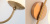 Бра Gooseneck Pelle wall Lamp Бра Gooseneck Pelle wall Lamp