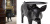 Кофейный стол Moooi Pig Table designed by Front