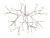 Люстра Moooi Heracleum Small designed by Bertjan Pot in 2010