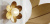 LOTUS Wall Lamp Бра форме листьев лотоса LOTUS Wall Lamp Бра форме листьев лотоса