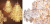 Люстра Eichholtz Chandelier Hermitage L