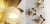 LOTUS Wall Lamp II Бра форме листьев лотоса LOTUS Wall Lamp II Бра форме листьев лотоса
