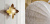 LOTUS Wall Lamp II Бра форме листьев лотоса LOTUS Wall Lamp II Бра форме листьев лотоса