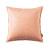 Light Selection of Leather Pillows