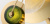 Бра Green Disk Double Бра Green Disk Double
